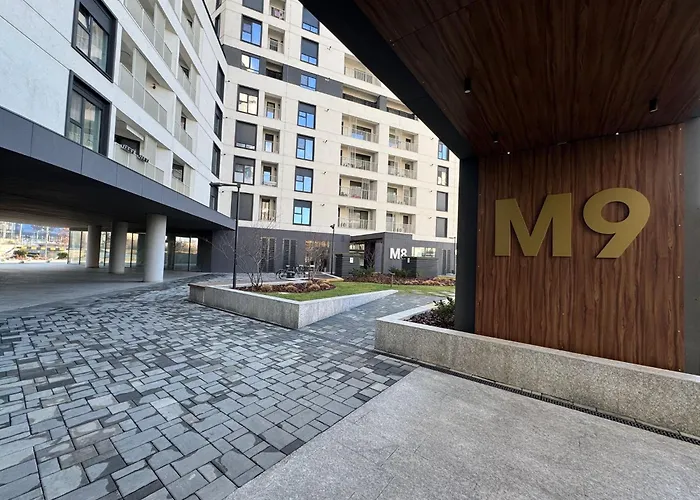 Neo Sapte - - Of Mara Timişoara