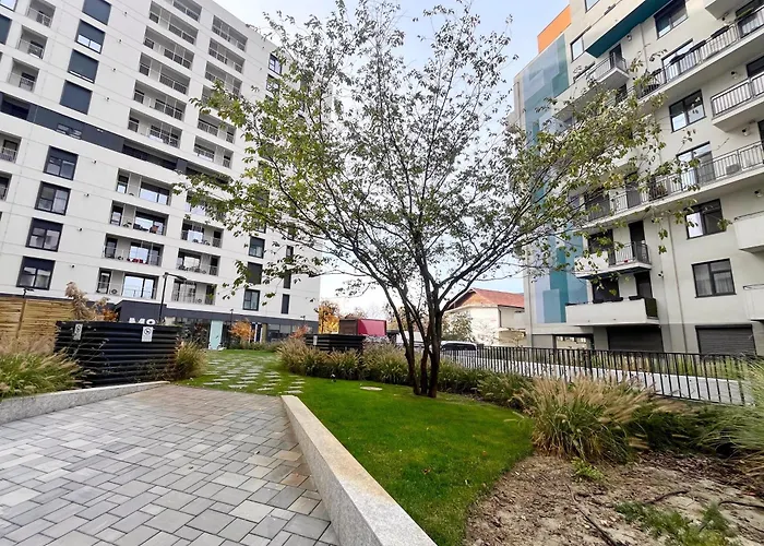 Neo Sapte - - Of Mara Timişoara