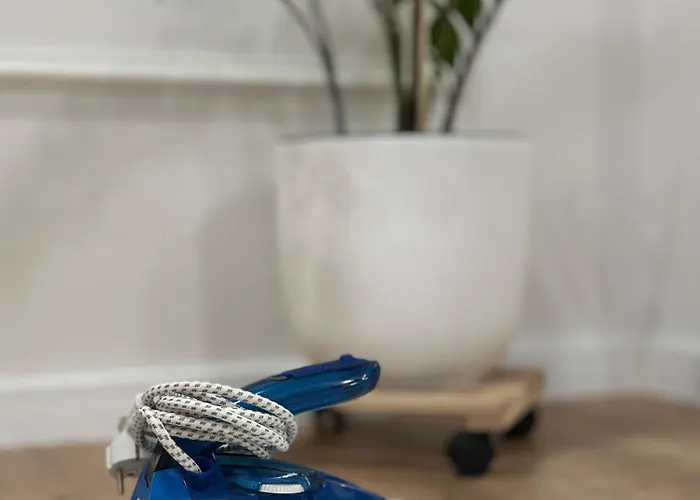 Neo Sapte - - Of Mara * Timişoara